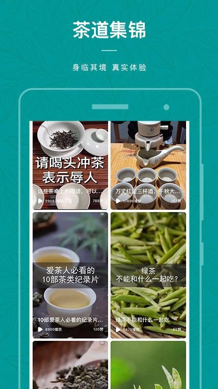 茶物几何v1.2.5