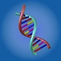 人类跑步进化v1.0.10