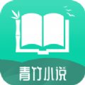 青竹小说v21.1.0