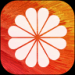 DIY壁纸v5.2
