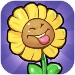 保卫花花大作战v1.0