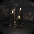夜间日记v1.0