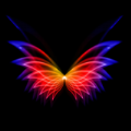 动态壁纸秀秀v1.0