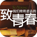 致青春动态壁纸v1.2