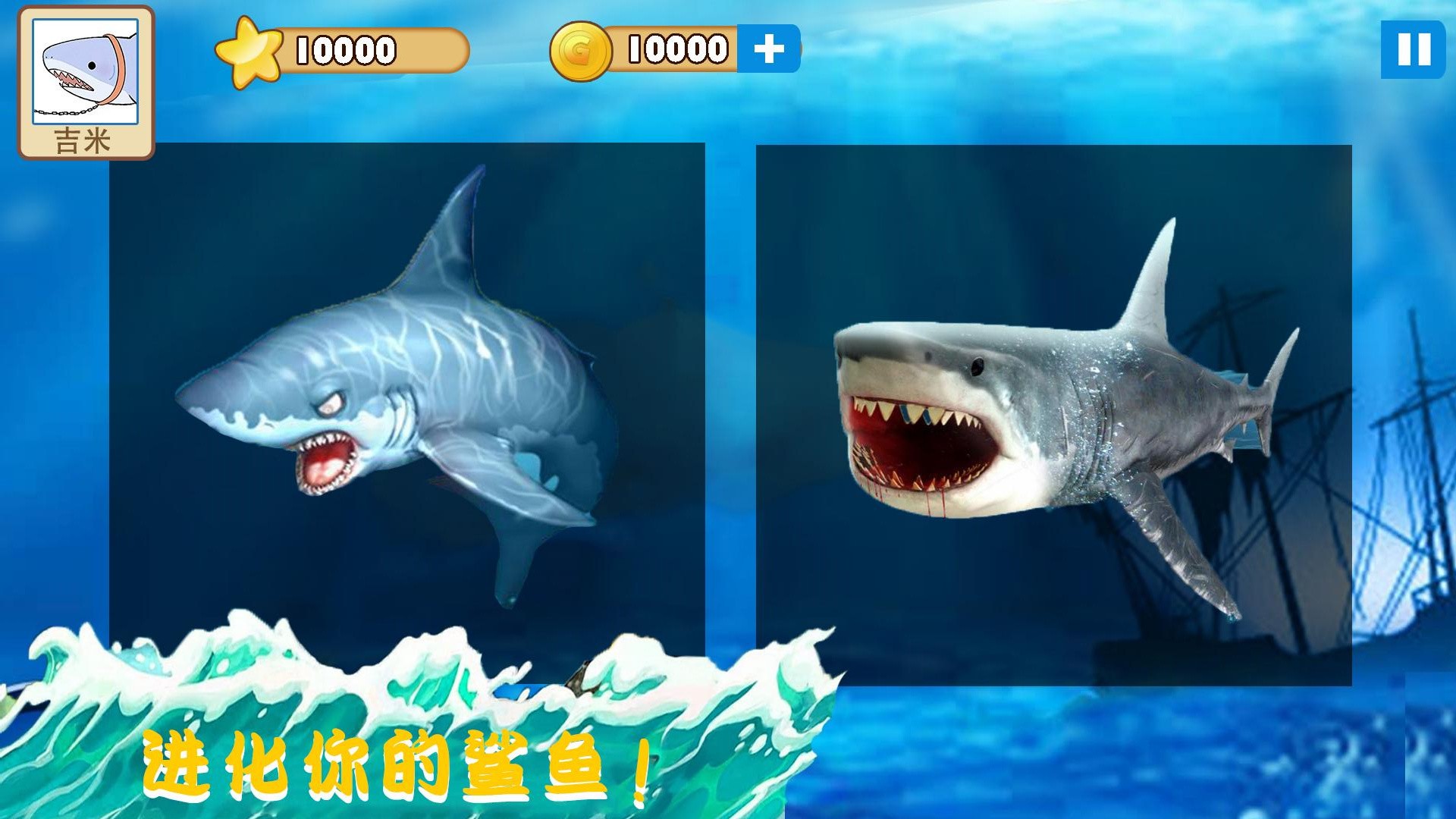 大白鲨真实模拟v1.0
