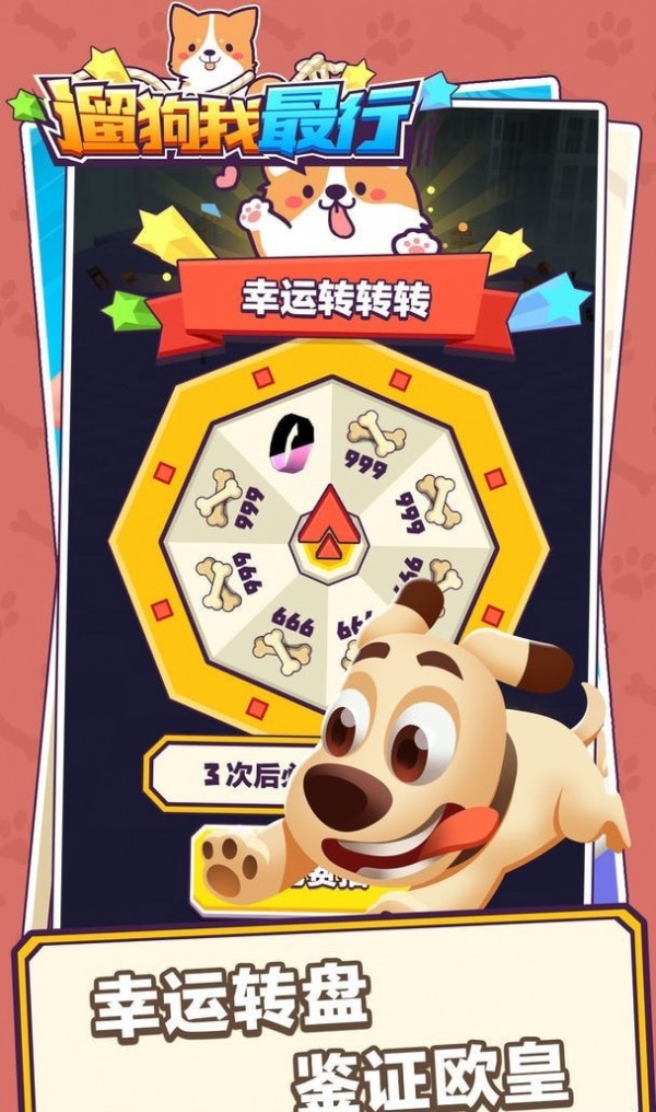 遛狗我最行v2.0