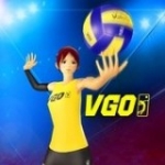 3D排球运动v1.0.59