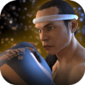 泰拳2格斗冲突v1.05