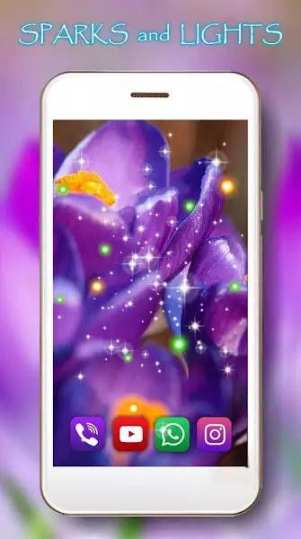 番红花之春壁纸v1.9