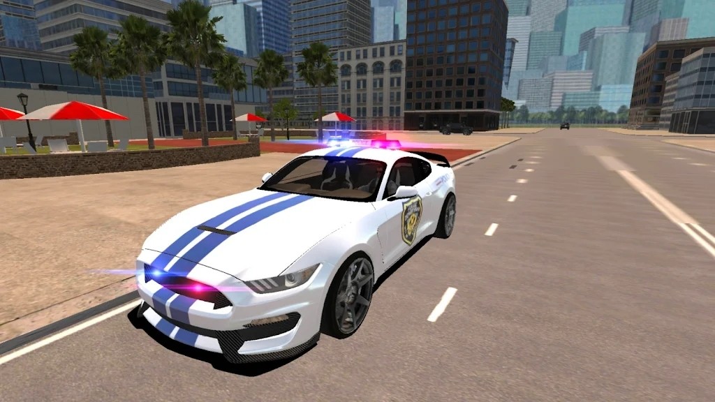 野马警车驾驶v1