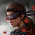 影子猎人的传说v1.0.22