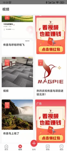 传喜鸟v1.0.20