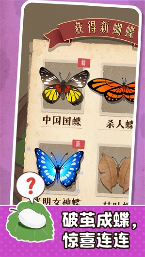 小小养蚕师v0.1.3