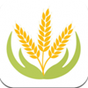 百味安v1.4