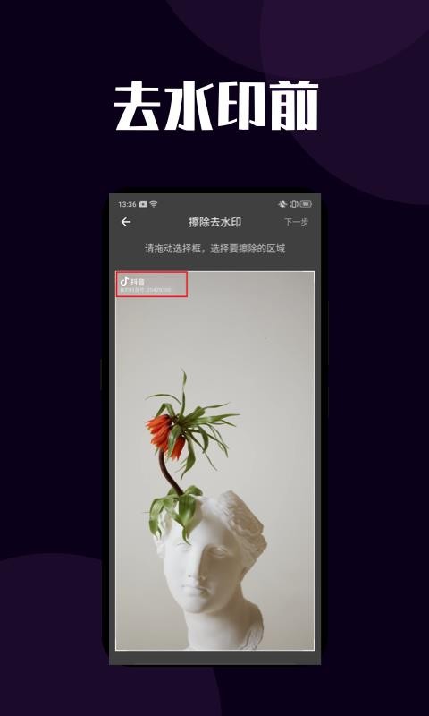 短视频去水印v1.0.0