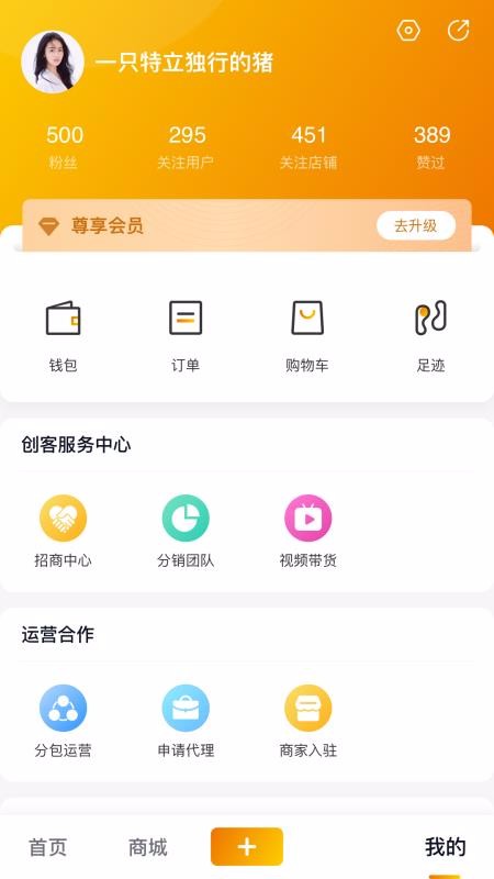真国色v1.0.0