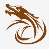 巨龙小说v1.0