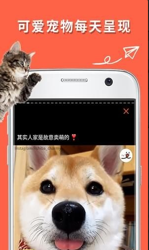 朋宠PECOv1.0.0