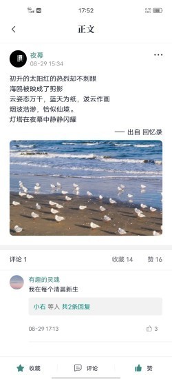 轻读小说v1.1.1