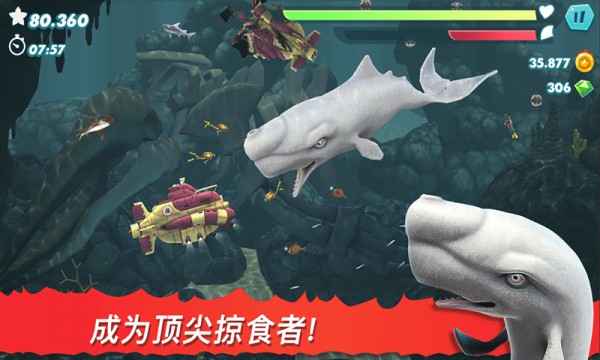 饥饿大白鲨v1.0