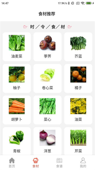 凯发菜谱v1.0