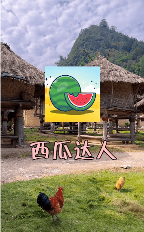 西瓜达人v1.0.2