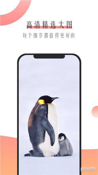 米柚壁纸v1.0.3
