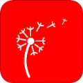 蒲公英读书v1.0