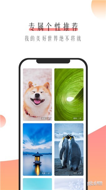 米柚壁纸v1.0.3