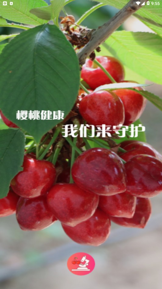 樱桃医生v1.2.6