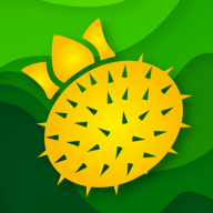 山王果原产Gov1.0.1