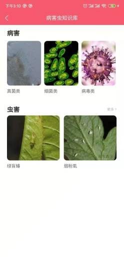 樱桃医生v1.2.6