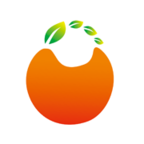 橙子网购助手v7.9.0