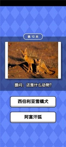 动物滑滑乐v1.0.2