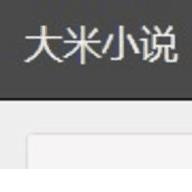 大米小说v1.0