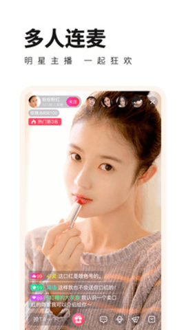 小菊花v1.0