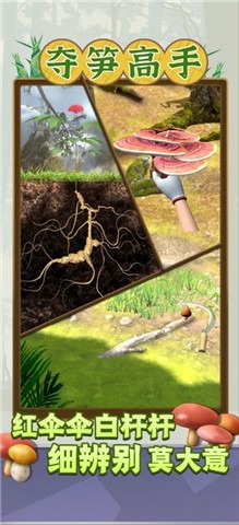 夺笋高手v1.0.3