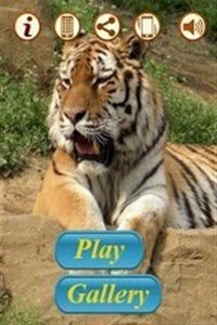 猛虎拼图v3.1