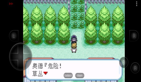 口袋妖怪究极之路vbeta009
