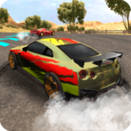 真正的极限赛车v1.0.5