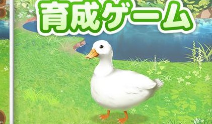 鸭子培养v1.2