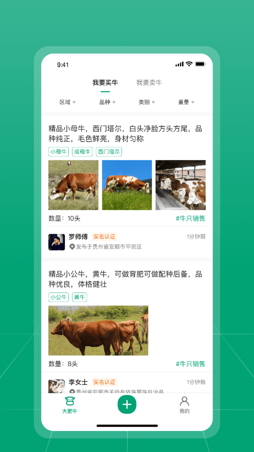 大肥牛v1.0.3