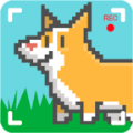 闲置博客模拟器v1.0.1