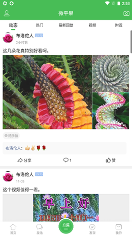 新平果网v5.4.1