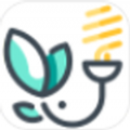 墨灯光强v1.5.2