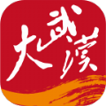 大武汉v4.0.0
