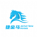 捷金马vv2.1.1