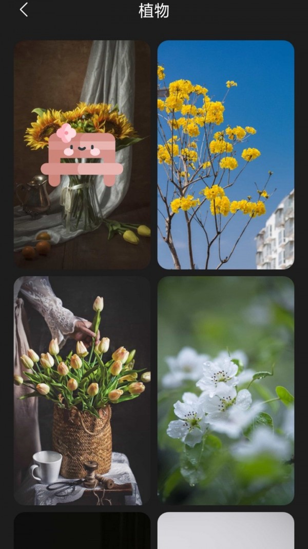 布丁壁纸v4.7.4