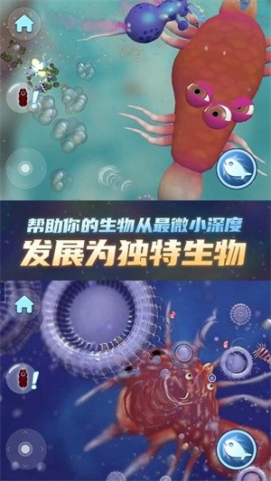 物种进化器v1.0