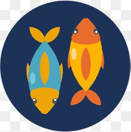 金鱼视界v4.0.5